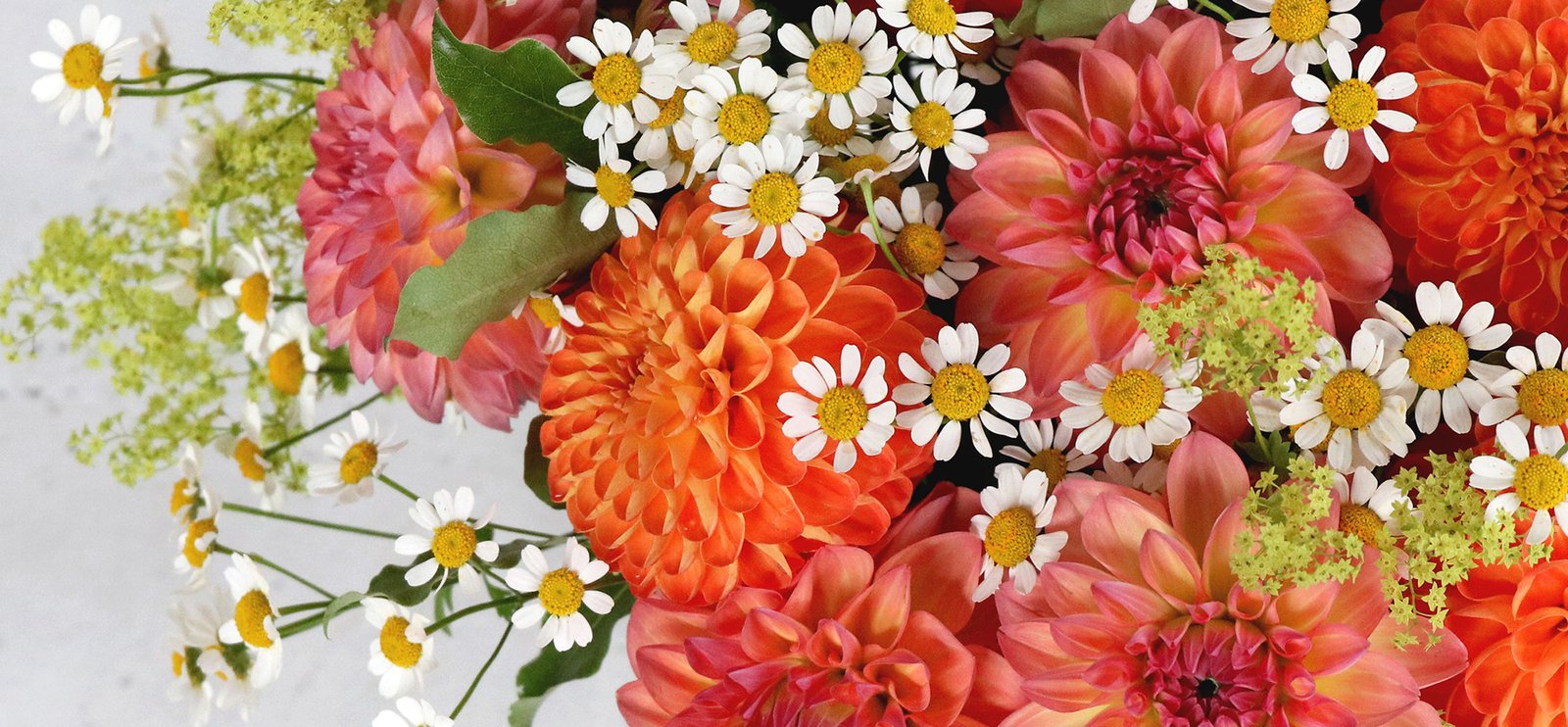 boston & new york florist | same day flower delivery | winston flowers